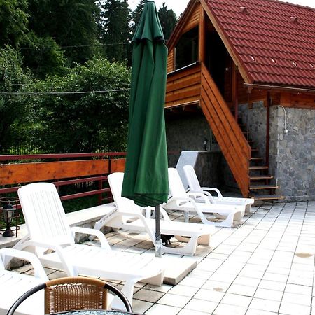 Pension Green Park Brasov Bagian luar foto