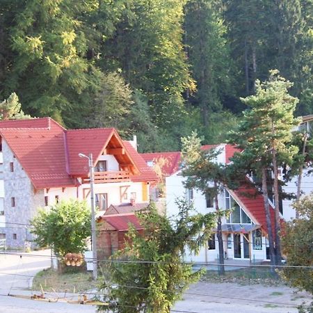 Pension Green Park Brasov Bagian luar foto