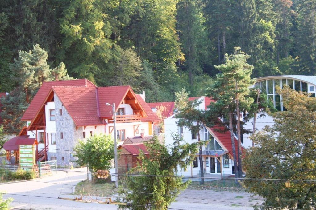 Pension Green Park Brasov Bagian luar foto