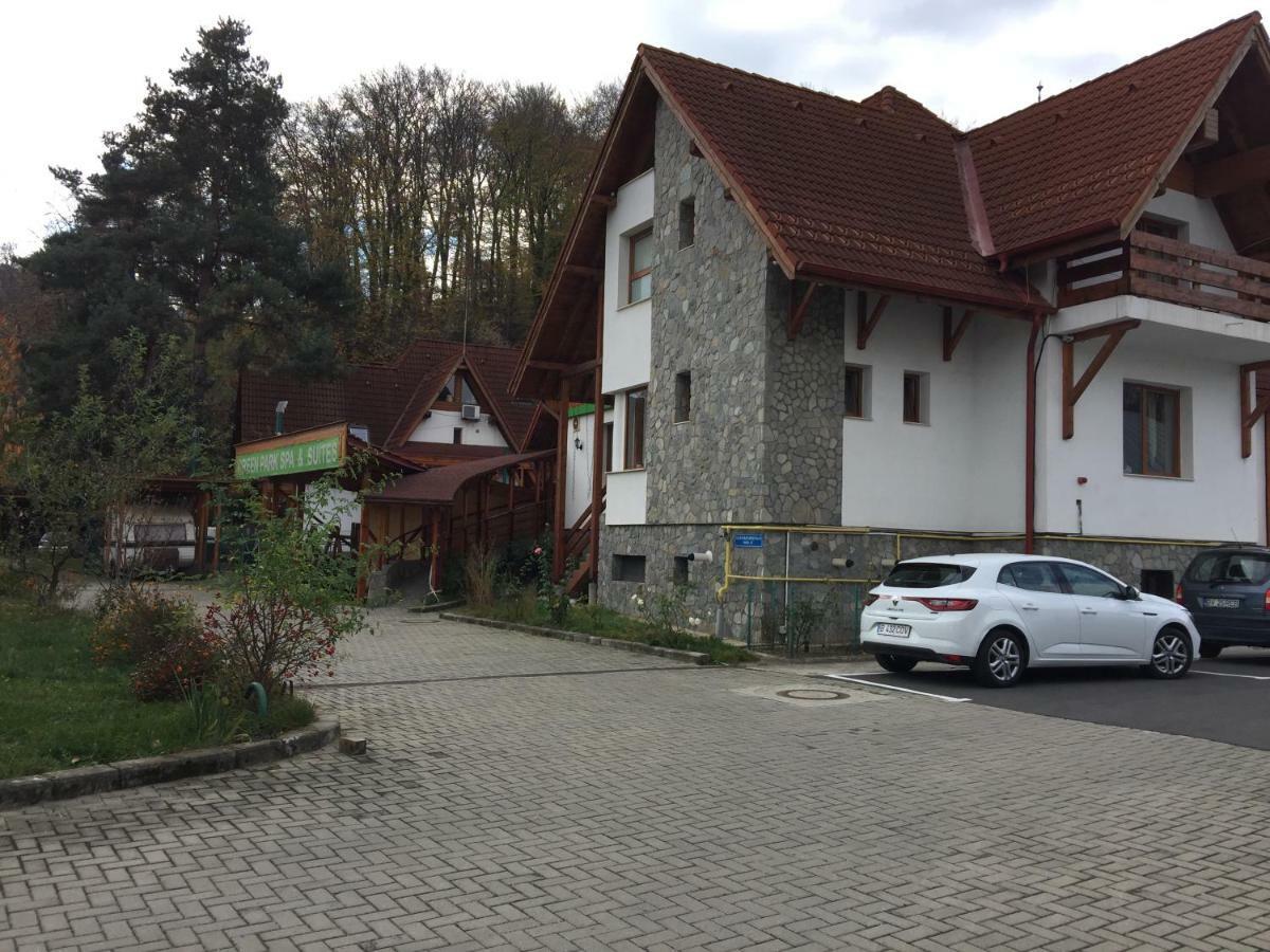 Pension Green Park Brasov Bagian luar foto